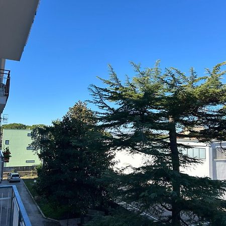 B&B Serangi - Il Piacere Di Sentirsi A Casa Cercola Exterior photo
